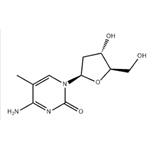 5-Methyl-2'-deoxycytidine