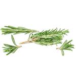 Rosemary oil