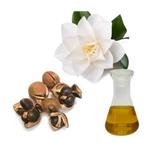 Camellia seed oil