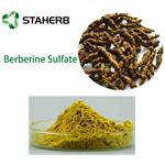 BERBERINE SULFATE TRIHYDRATE