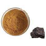 Shilajit Extract; Fulvic acid