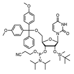 5'-O-(4,4-Dimethoxytrityl)-2'-O-[(tert-butyl)dimethylsilyl]uridine-3'-(2-cyanoethyl-N,N-diisopropyl)phosphoramidite