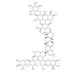 GYNOSTEMMA PLANT EXTRACT；GYPENOSIDES 