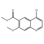 Methyl 4-chloro-7-Methoxyquinoline-6-carboxylate