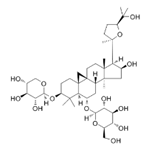 Astragalus Extract