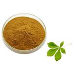 Escin; Horse chestnut extract