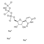 Uridine-5'-triphosphoric acid trisodium salt