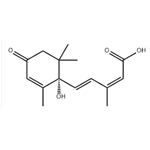 (+)-Abscisic acid