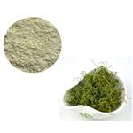 GYNOSTEMMA PLANT EXTRACT；GYPENOSIDES 