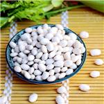 Phaseollin; White Kidney Bean Extract