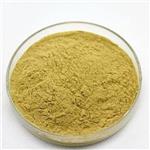 African Mango seed Extract