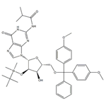  5'-O-DMT-2'-O-iBu-N-Bz-Guanosine