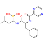 Bortezomib