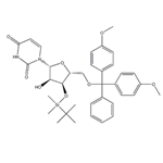 5'-O-(4,4'-DiMethoxytrityl)-3'-O-t-butyldiMethylsilyl uridine