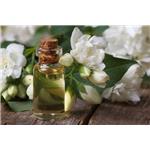 Jasmine Oil; Jasmine Flower Oil