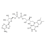 FLAVIN ADENINE DINUCLEOTIDE