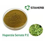 Huperzia Serrate P.E