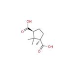 D-(+)-Camphoric acid