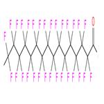 PERFLUOROHEXADECANOIC ACID
