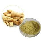 Panax Ginseng extract