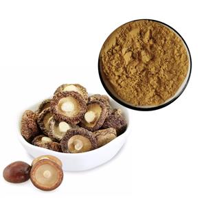 shiitake mushroom extract