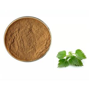 Urtica cannabina powder