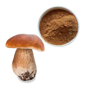 Boletus powder (Boletus extract); Porcini extract