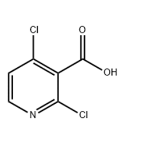 2,4-Dichloropyridine-3-carboxylic acid