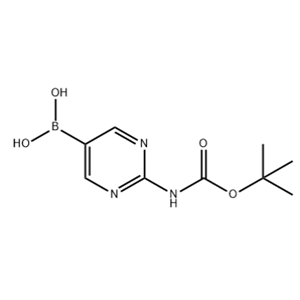 [2-[(tert-Butoxycarbonyl)amino]pyrimidin-5-yl]boronic acid