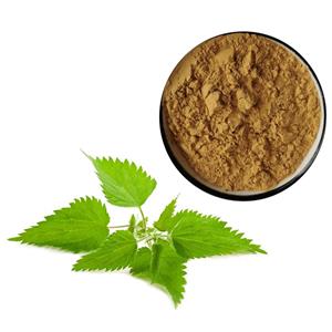 Urtica cannabina P.E