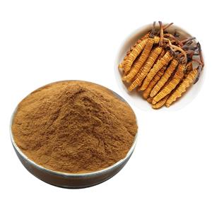 FERMENTAL CORDYCEPS SINENSIS POWDER （Cs-4）