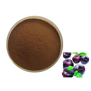 Black plum extract