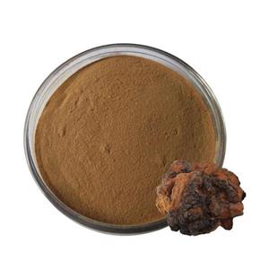 Chaga Powder