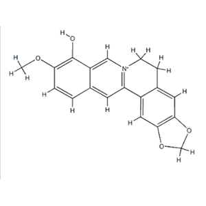 berberrubine