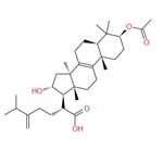 Pachymic acid