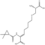 Cilastatin