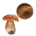 Boletus powder (Boletus extract); Porcini extract