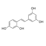 Oxyresveratrol