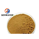 African Mango Seed Extract