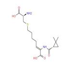 Cilastatin