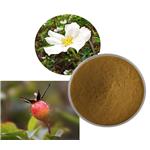 Cherokee Rose extract