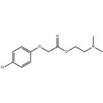 Meclofenoxate