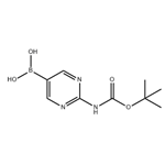 [2-[(tert-Butoxycarbonyl)amino]pyrimidin-5-yl]boronic acid