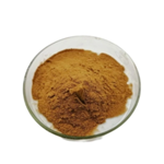 Maca Extract