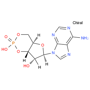 Adenosine 3',5'-cyclic monophosphate；Cyclic AMP； 3:5-CAMP；3',5'-CYCLIC AMP