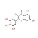 vine tea extract dihydromyricetin