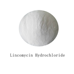 Lincomycin Hydrochloride