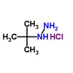 tert-Butylhydrazine hydrochloride (1:1)