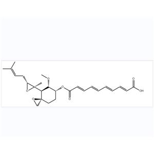 Fumagillin