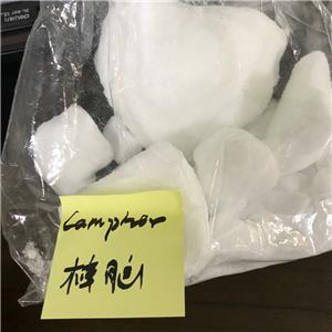 Camphor